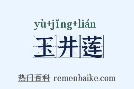 玉井莲是什么意思的图片